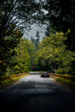 765LT Framed Prints