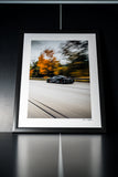 765LT Framed Prints