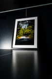 765LT Framed Prints