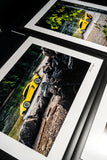 Aventador SV Framed Prints